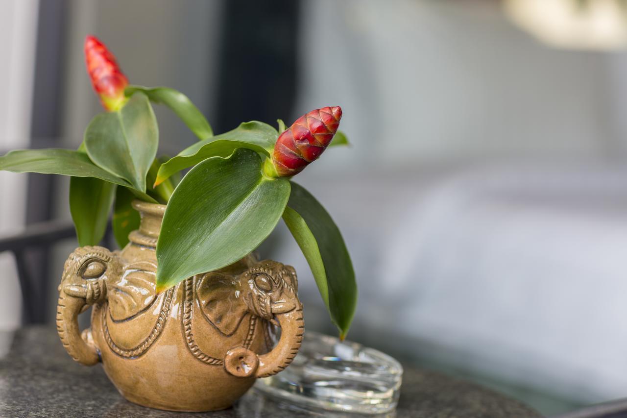 Elia Boutique Hotel Sziemreap Kültér fotó